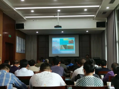 计算机技术培训大会 小岛上的智慧碰撞与未来展望